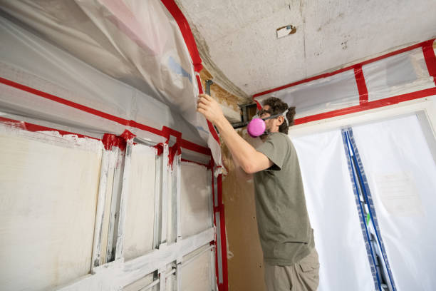 Best Post-Remediation Verification Testing  in Circleville, OH