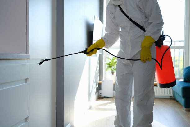 Best Environmental Consulting for Mold Prevention  in Circleville, OH