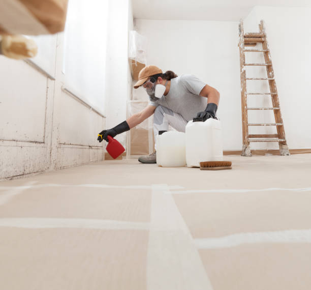 Best Mold Damage Restoration  in Circleville, OH
