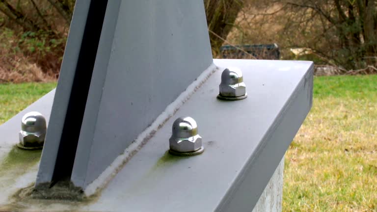 Best Forensic Mold Investigation  in Circleville, OH